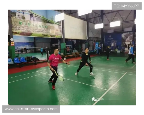 羽毛球裁判判罚讨论:标准化之路多远? 羽毛球裁判判罚讨论:标准化之路多远?